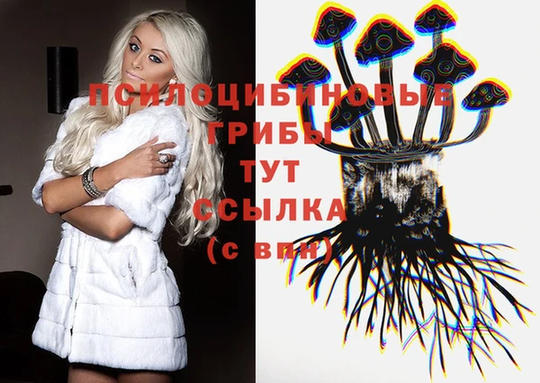 mix Касимов