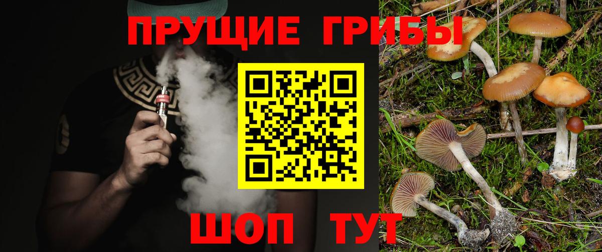 Псилоцибиновые грибы GOLDEN TEACHER  Вход с VPN  наркотики  Балаково 